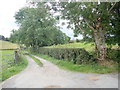 Untarred farm drive leading West off the Bog Road