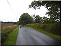 The lane to Morris Green