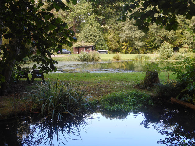 Pond at Chilworth