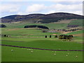 View up Glen Buchat