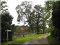 Lane to Sycamore Farm, Wyville