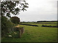 Sheep pen and grass fields