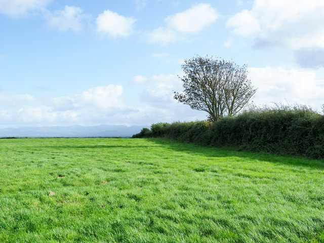 Field bounded by hedge