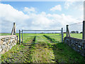 Grassy field beyond gate