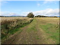 Track between arable fields near to Montboy