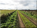 Track between arable fields