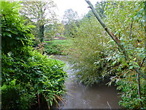 SO9267 : River Salwarpe from bridge in Webbs of Wychbold's decorative garden by Ruth Sharville