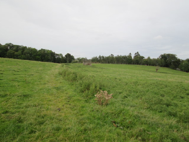 Grass track over parkland toward ... © Martin Dawes cc-by-sa/2.0 ...