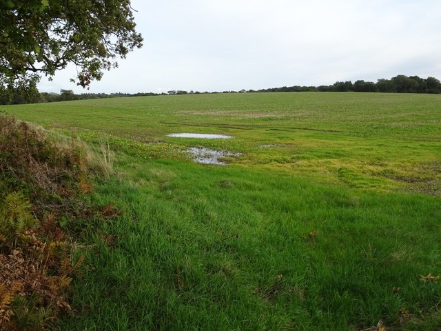 Farmland near Langley Lawn Farm