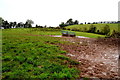 A muddy field, Moylagh