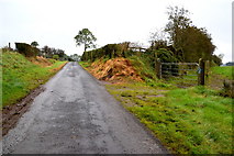 H5064 : Meenmore Road, Moylagh by Kenneth  Allen