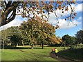 Kirkcaldy parkrun