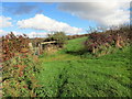 Llwybr Brynceir / Brynceir Path