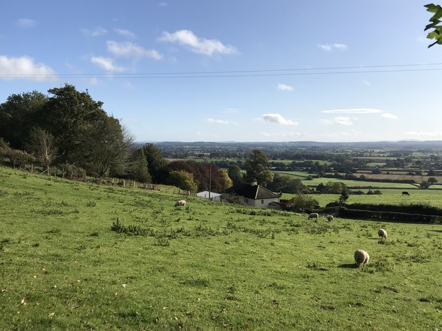 Field above the Shropshire Plain