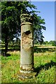 SJ4160 : Roman Column in Eaton Hall Gardens by Jeff Buck