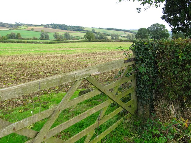 Thorpe Langton Farmland