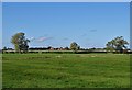 View over fields to Prospect Farm