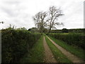 Roadway to New Park Farm