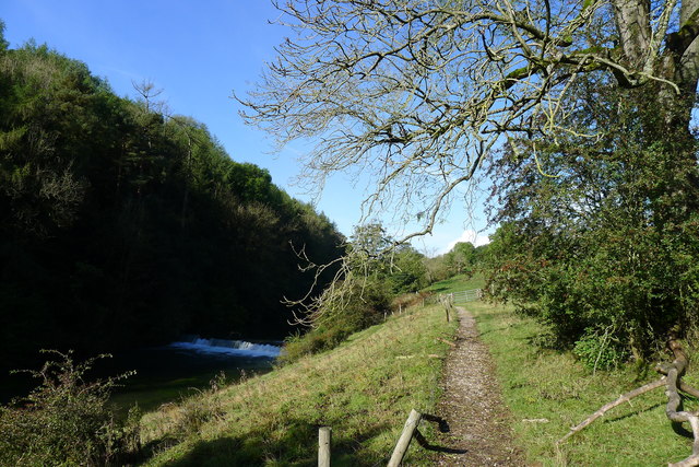 Footpath above the River Lathkill © Tim Heaton :: Geograph Britain and ...