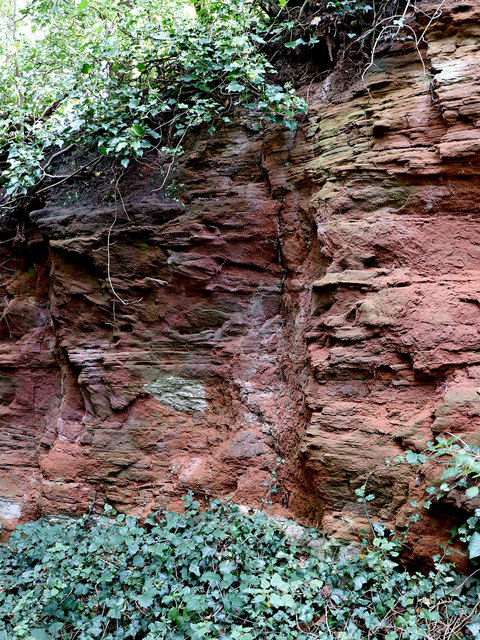 Red sandstone exposure south of Pattingham, Staffordshire