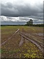 SK7577 : Farmland east of Headon by Neil Theasby