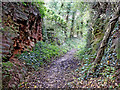 Bridleway near The Clive in Staffordshire