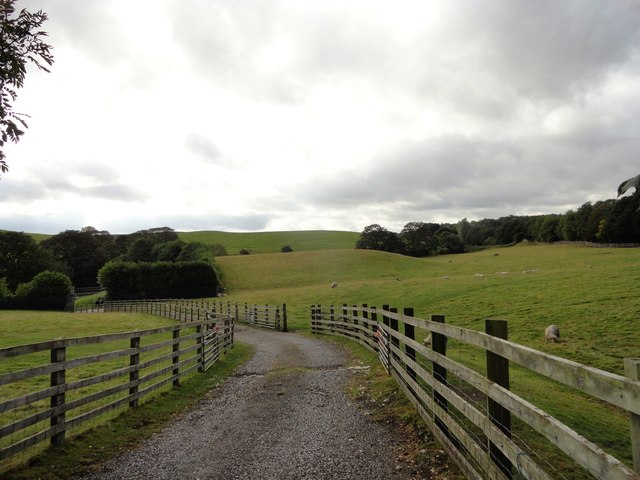 Fields beside Mill Lane