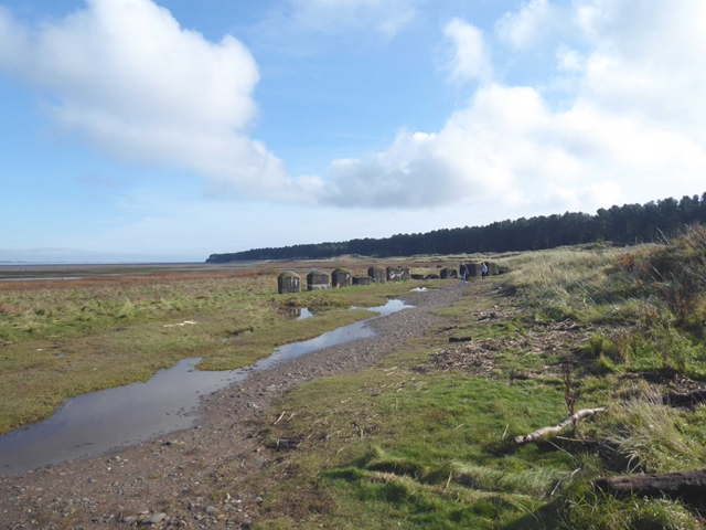 Cycle route on the salt marshes