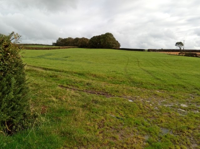 Farm track above Tidlake
