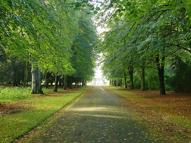 Tree lined avenue in the grounds of... © Graham Hogg :: Geograph ...