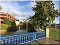 The River Skerne at Stonebridge