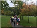 Runners in Millhouses Park