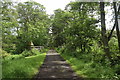 Path through Scattie wood on the Dunecht estate