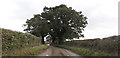 Lane from Shorthill to Arscott Hall