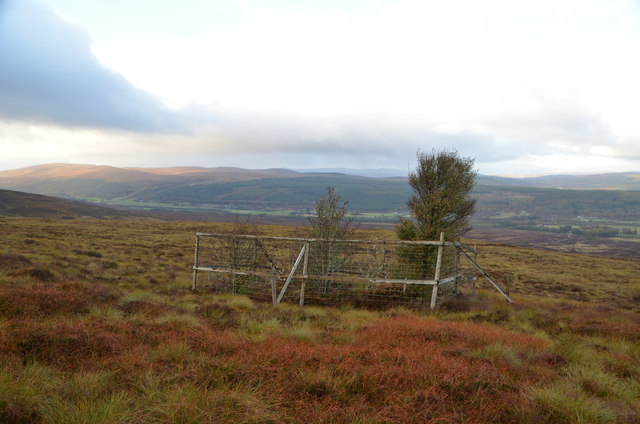 Small Enclosure on the Moors, Strath Carron, Ross-shire
