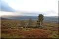 NH5688 : Small Enclosure on the Moors, Strath Carron, Ross-shire by Andrew Tryon