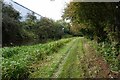 Chesterfield Canal towards bridge #44A