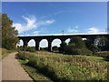 Sankey Viaduct