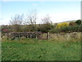 Llwybr yn cyrraedd heol / Path approaching  a road