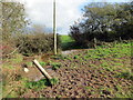 Llwybr Dolwerdd / Dolwerdd Path