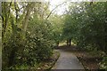 SD4861 : Path, Williamson Park by Richard Webb