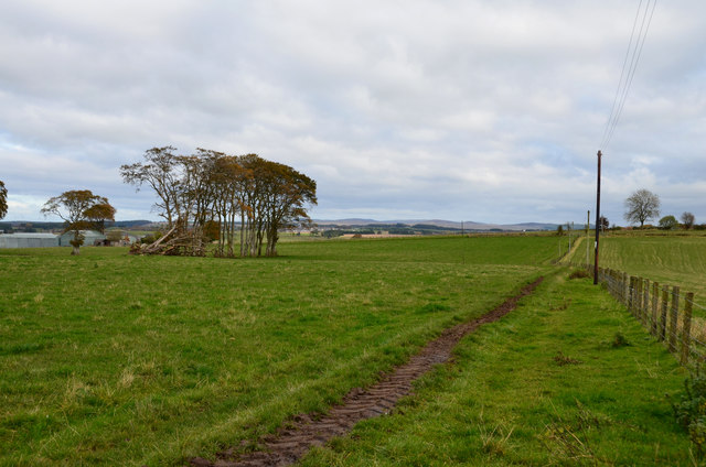 Field path to Pettinain