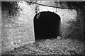 Tramroad tunnel portal, Willsbridge (1966)