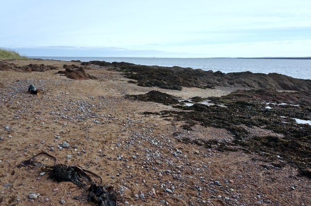 Moray Firth Foreshore