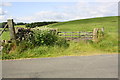 SD8953 : Field gateway to Hawber Hill field by Roger Templeman