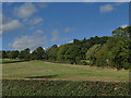 View north from Jowett House Lane