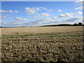 SK9426 : Stubble field near Easton by Jonathan Thacker