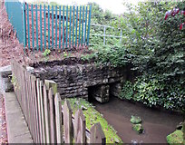 SO4382 : Brook below Clun Road, Craven Arms by Jaggery