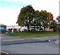 Autumn colours, Southern Avenue, Leominster