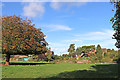 Pasture by The Clive in Staffordshire